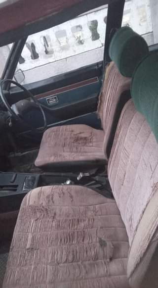 Classic,Muscle A.