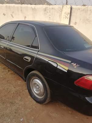 A picture of Honda accord babyboy