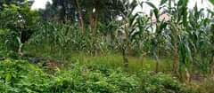 A picture of 50by110 at 37m Gayaza kizawula agreement