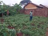 A picture of QUICK DEAL PLOT IN GARUGA NALUGALA AT UGX18M