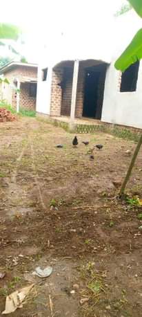 A picture of House with plot 12m only