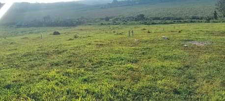 A picture of NEW NAMUSERA NSENKWA ESTATE UGX40m 50x100 Ready MAILO LAND TITLES