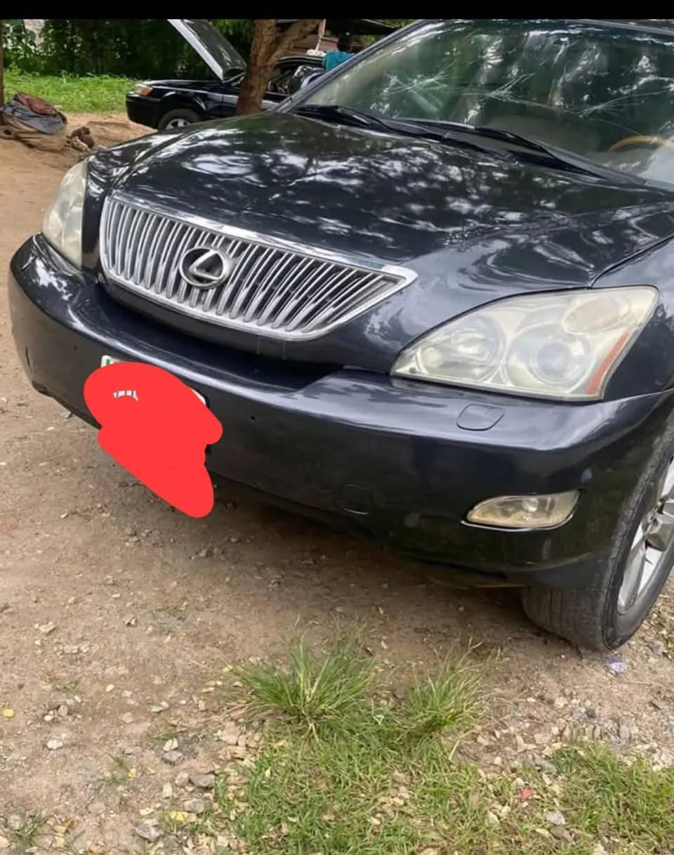 A picture of 2006 Rx lexus