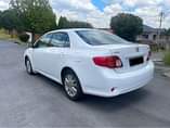 A picture of 2009 TOYOTA COROLLA PROFESSIONAL