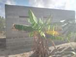 A picture of INAUZWA MILIONI 7 000 000