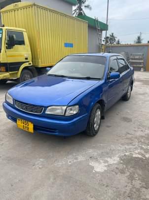 A picture of 2001 TOYOTA COROLA 111 0714058883 toyota