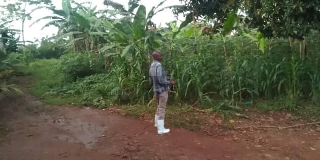A picture of Land