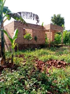 Ssempa P.
