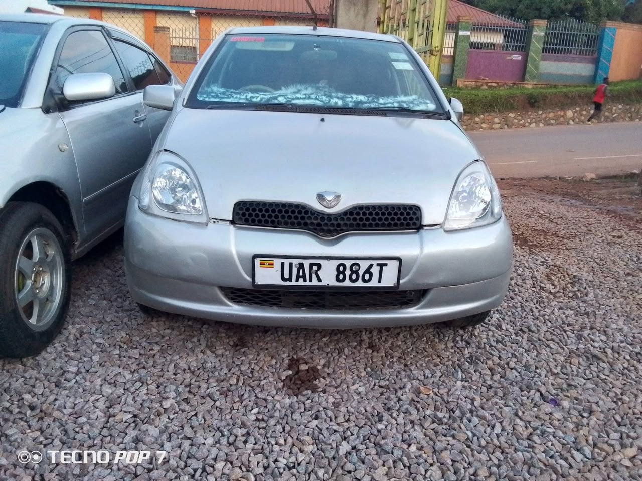 A picture of Vitz