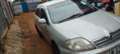 toyota vvti