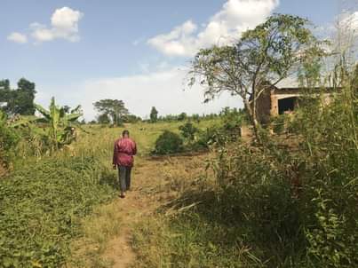 houses matugga