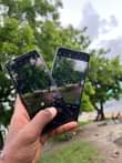 A picture of Samsung S9