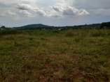 A picture of Plots