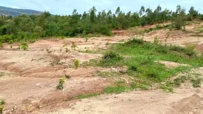 kagugu accommodation