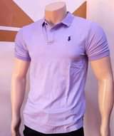 A picture of MEN COLOR T SHIRTS Accommodation to Rent