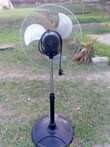 A picture of CHAGUA UPENDACHO NIKUTAJIE BEI 0786494436