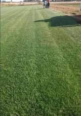 landscaping ssrvices