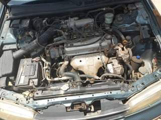 A picture of 1999 Honda Bulldog