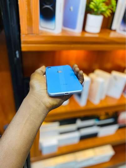 A picture of iPhone XR