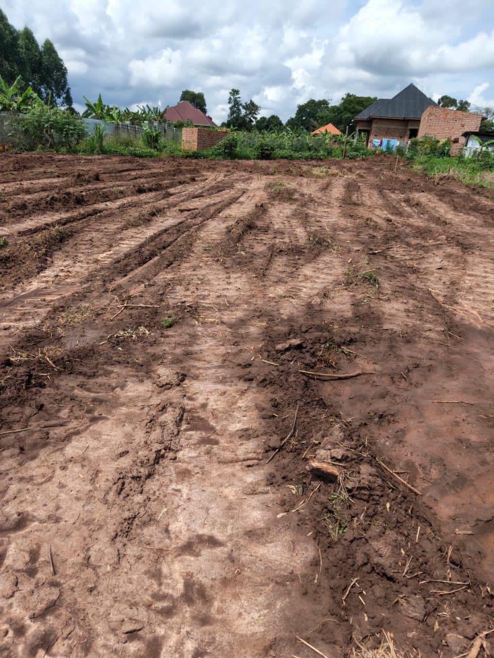 A picture of PLOT