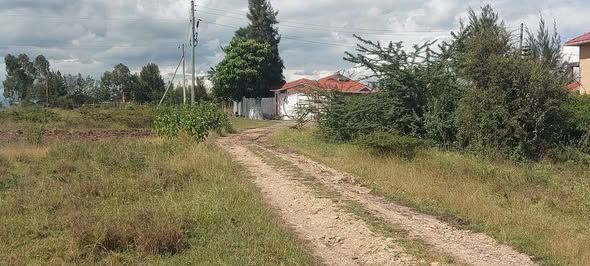 residential plots