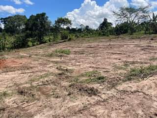 A picture of NAMAYUMBA TITLED PLOTS FOR SELL