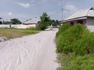 A picture of PANAUZWA PRICE MILION 5 5