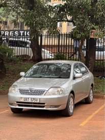 A picture of Cars