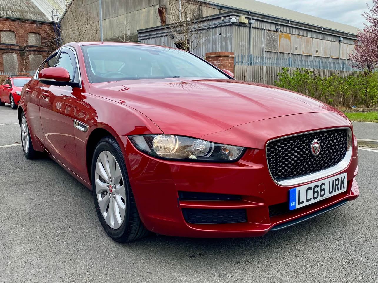 jaguar