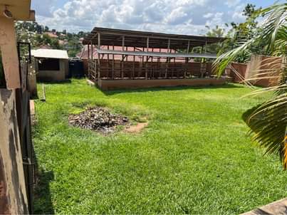 A picture of Prime plot at 35m Nakwero