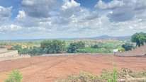 A picture of To get your self a 50 by 100 Ft plot