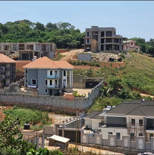A picture of plots for sale