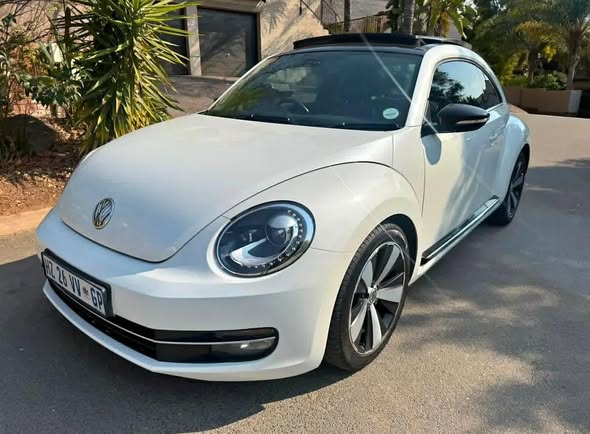 vw beetle
