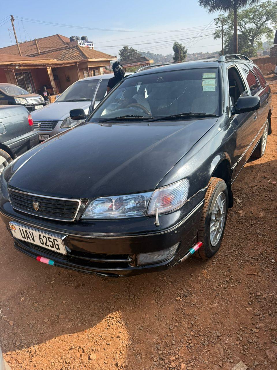 A picture of 2006 Musota musota