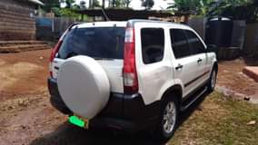 used honda crv