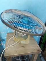 fans