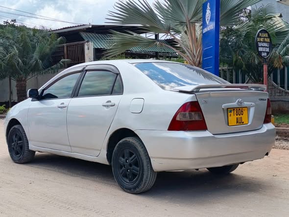A picture of COROLLA X0767058883