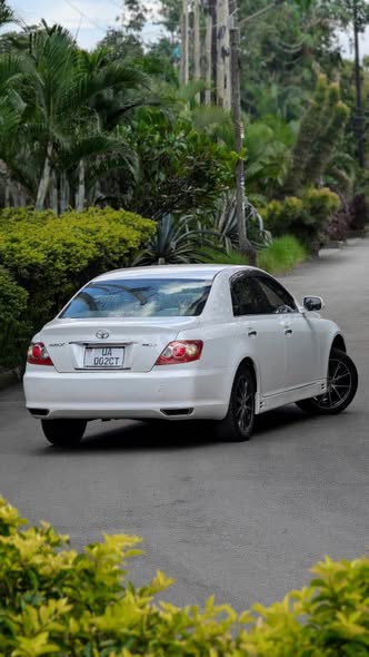 used toyota mark x