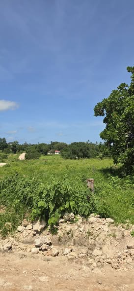 A picture of PRIME PLOTS FOR SALE IN MSABAHA MALINDI