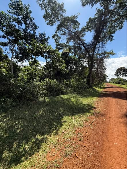 A picture of 500 acres of freehold tittled land 4millions per Acre at