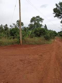 Gavamukulya T.
