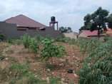 A picture of GOOD DEAL 25Decimals for sale in NAMUGONGO SONDE TOWN just