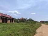 A picture of Plots 50 by100 ft with a title