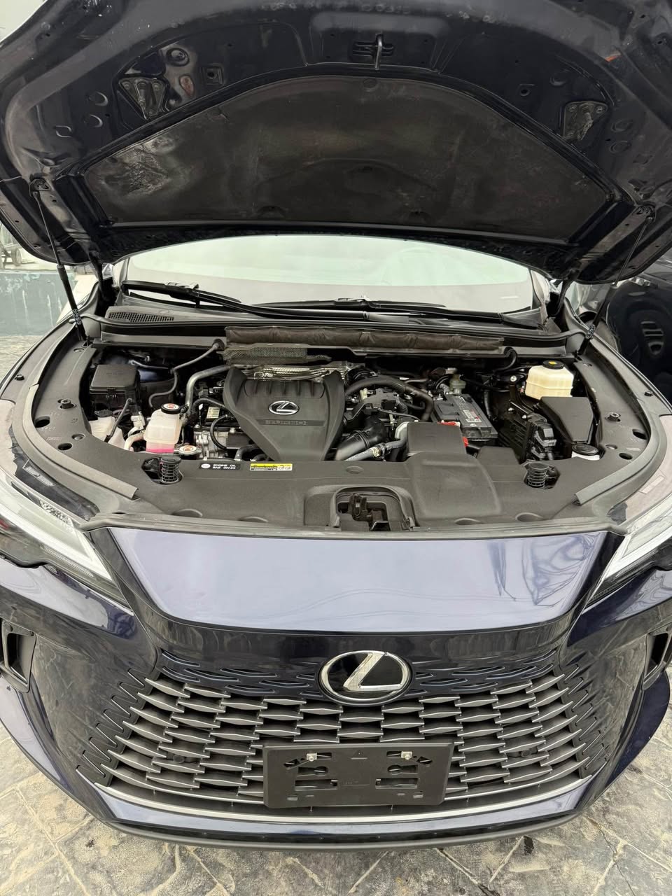 A picture of TOKS LEXUS 2023 RX350