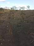 A picture of Kiwanja Kinauzwa Kibaha Loliondo