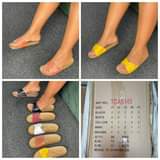 A picture of Slippers