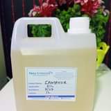 A picture of Carrier Oils