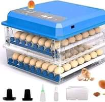 A picture of Incubators