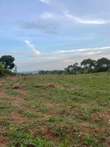 A picture of Plots for Sale in Busiika Vumba 50Ft by 100Ft at