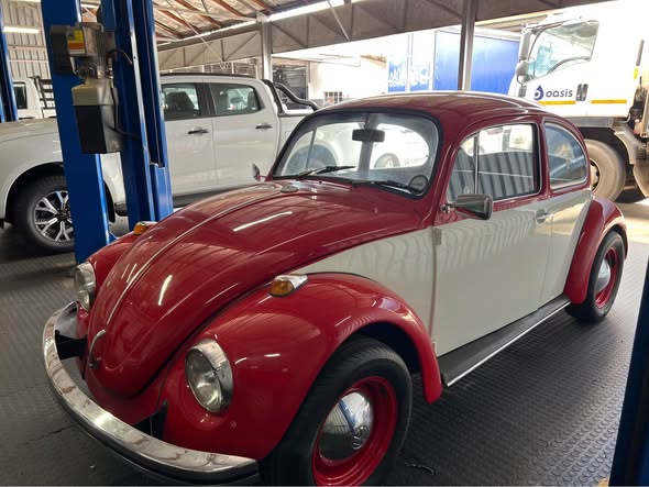 vw beetle